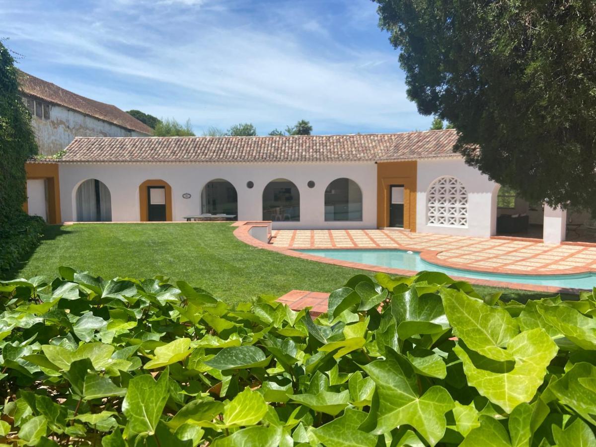 Casa Pitta Charm Villa Santarém Exterior photo